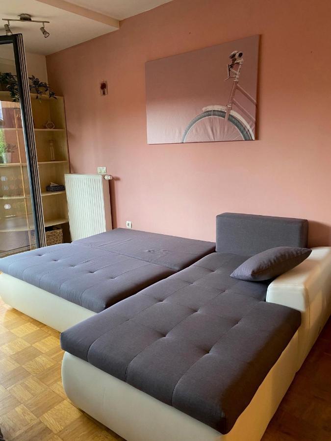 Apartma Felicija Apartment Laibach